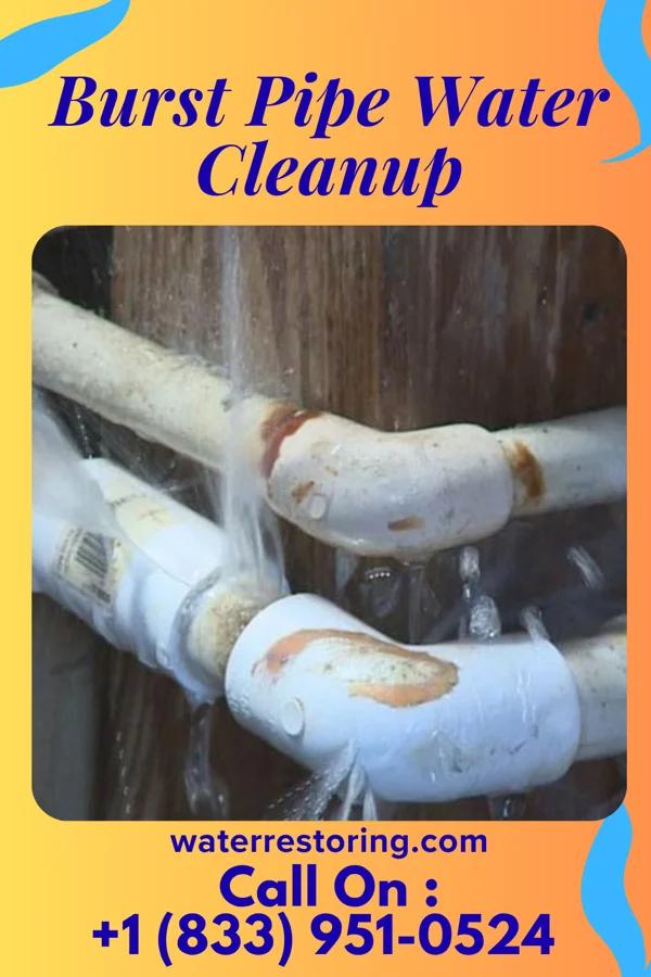 Burst Pipe Water Cleanup in Caledonia, MI