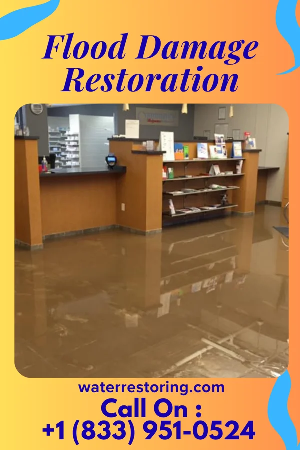 Flood Damage Restoration in Caledonia, MI