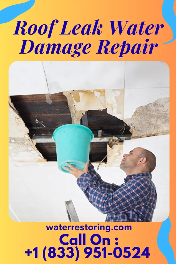 Roof Leak Water Damage Repair in Caledonia, MI