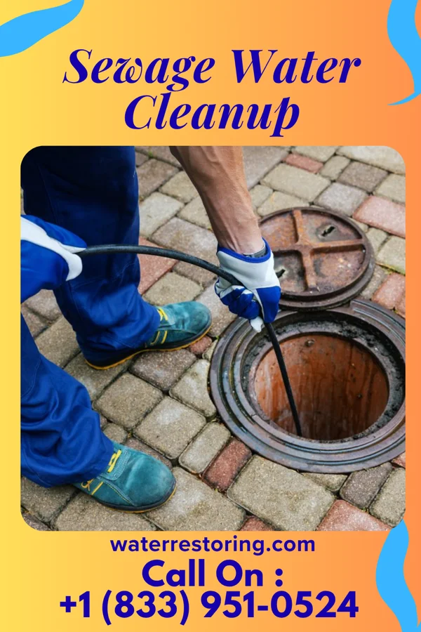 Sewage Water Cleanup in Caledonia, MI