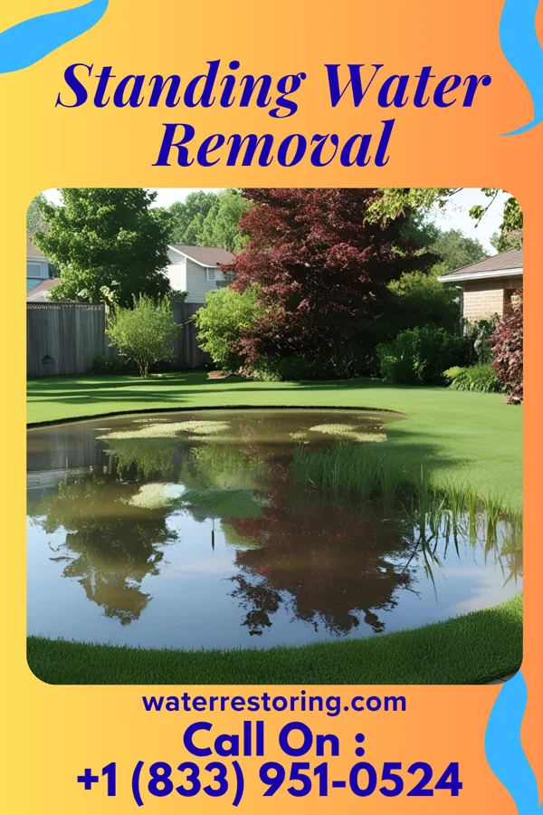 Standing Water Removal in Caledonia, MI
